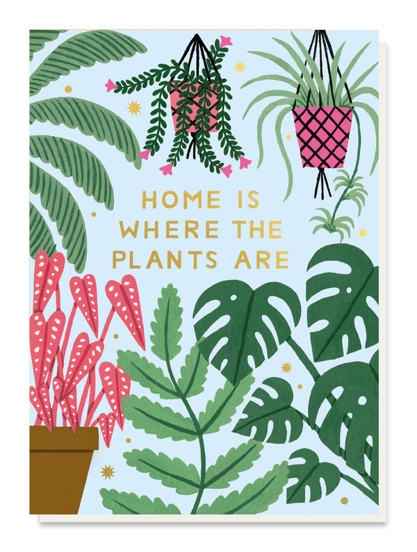 Home + Plants by Stormy Knight