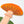 Orange Frilly Mushroom Stand Up Card by Hadley Paper Goods