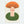 Orange Frilly Mushroom Stand Up Card by Hadley Paper Goods