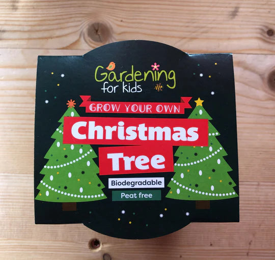 Christmas Tree Growing Kit