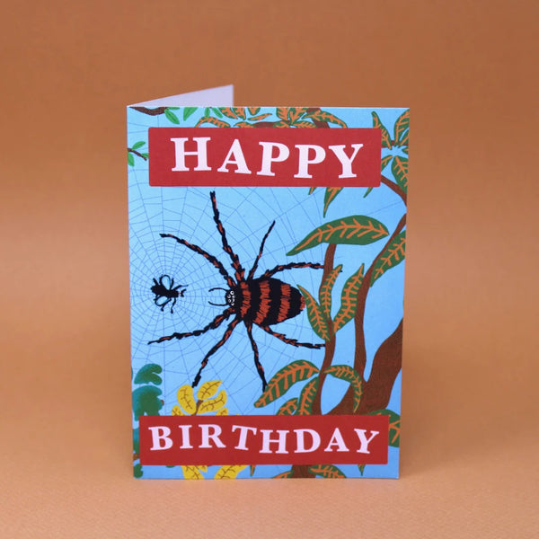 Birthday Spider