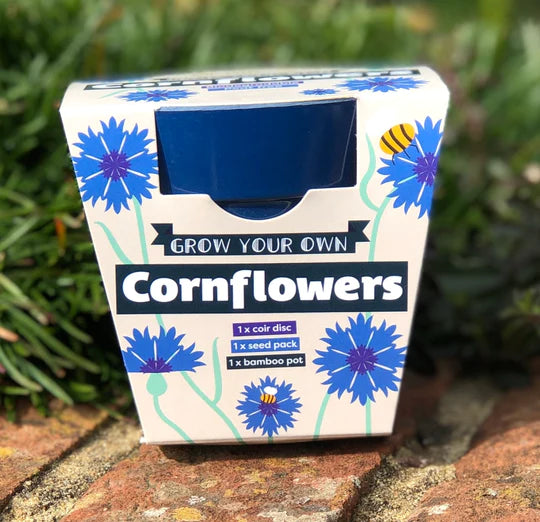 Cornflower Growing Kit