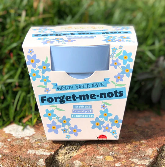 Forget-me-nots Growing Kit