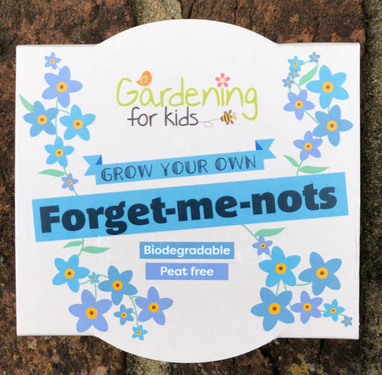 Forget-me-nots Growing Kit