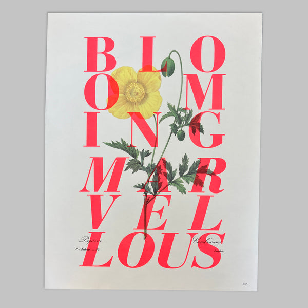 Blooming Marvellous – Form Shop & Studio