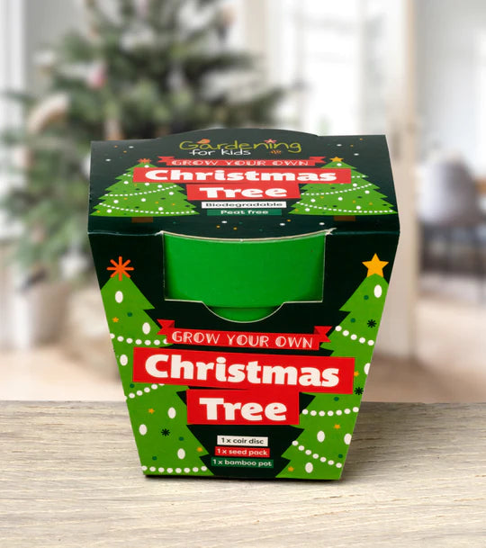 Christmas Tree Growing Kit