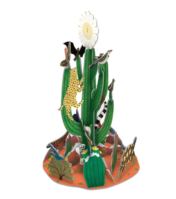 Christmas Cactus 3D Advent Calendar