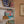 Seaside Shop House Matches
