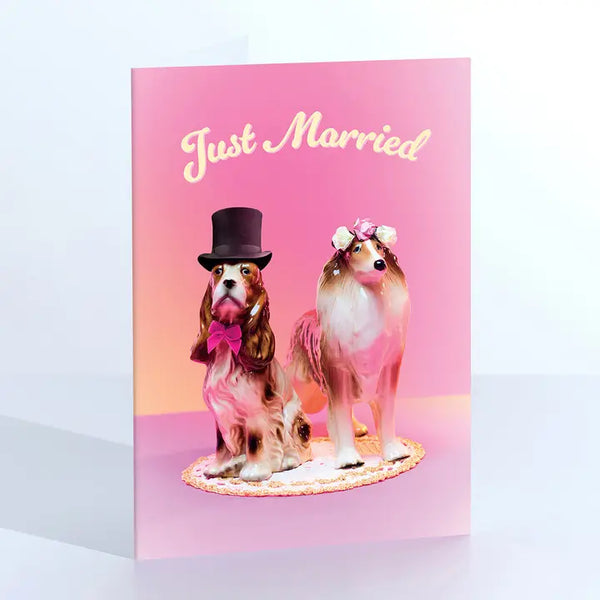 Just Married Dogs