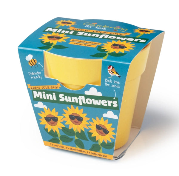 Mini Sunflowers Growing Kit