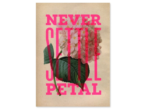 Never Settle Petal Hydrangea