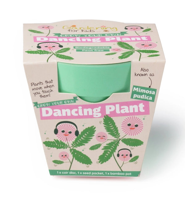 Dancing Plant Growing Kit