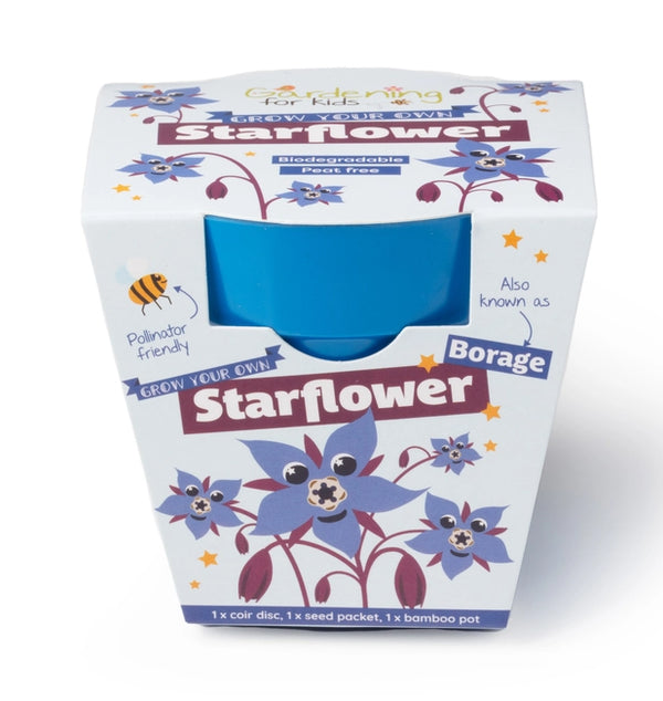 Starflower Growing Kit by Gardening for Kids