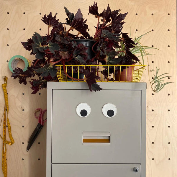 Giant Eyeballs Magnets (Set of 2)