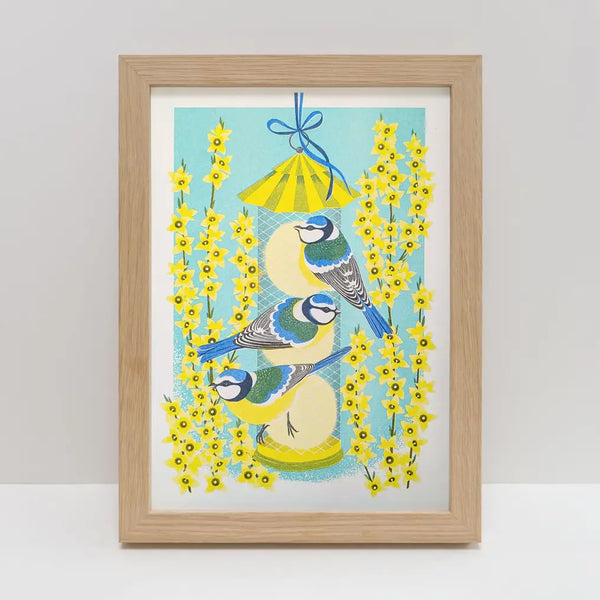 Blue Tits & Forsythia