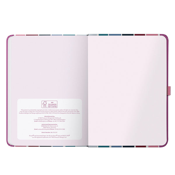 2027 Busy Life Diary - Multi-Stripe