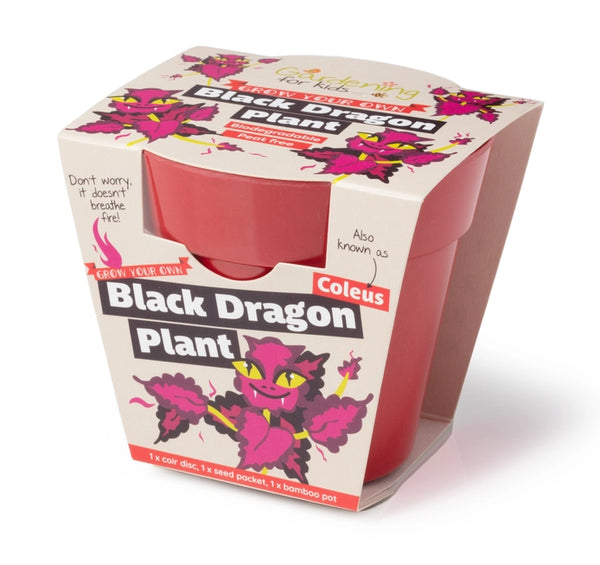 Black Dragon Plant Growing Kit