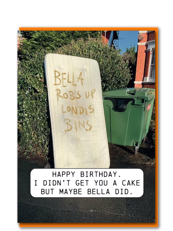 Bella Bins