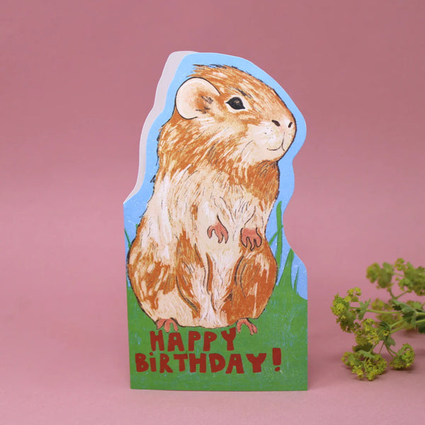 Guinea Pig Birthday