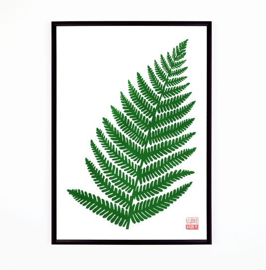 Fern