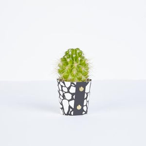 Plant Pot Cover - Small by Studio Wald