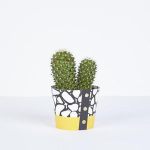 Plant Pot Cover - Medium by Studio Wald