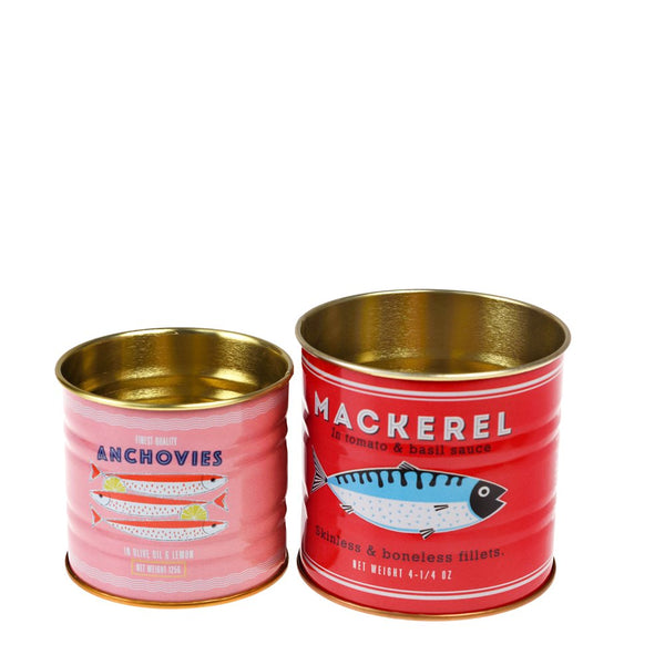 Fish Mini Storage Tins