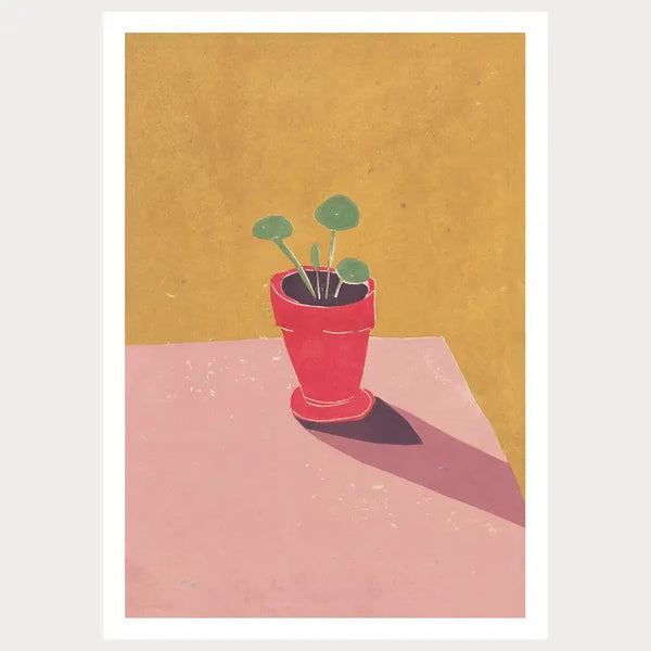 Baby Pilea by Luiza Holub