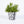 Load image into Gallery viewer, Plant pot around a plant designed by Studio Wald
