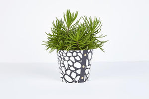 Plant pot around a plant designed by Studio Wald