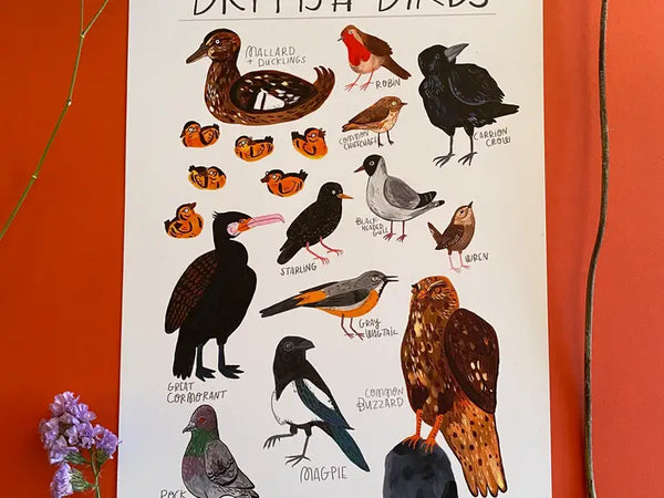 British Birds