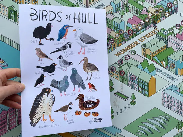 Birds of Hull