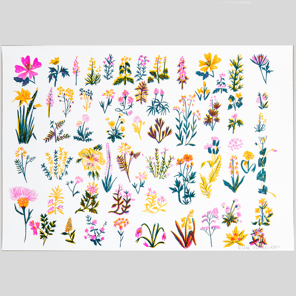 Wildflowers Risograph Print