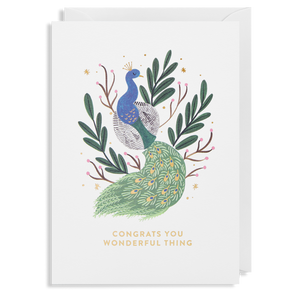 Congrats Peacock by Lagom