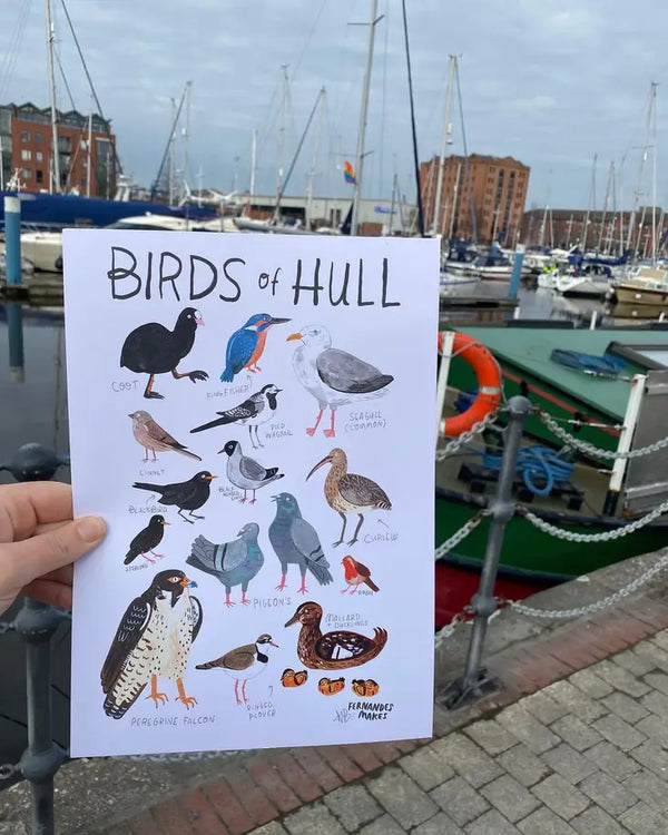 Birds of Hull