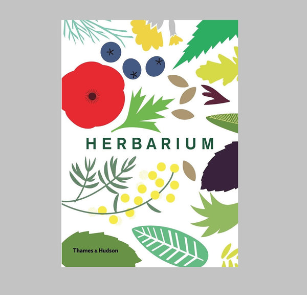 Herbarium: Grow Cook Heal by Caz Hildebrand