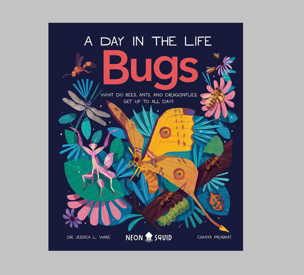 A Day in the Life: Bugs