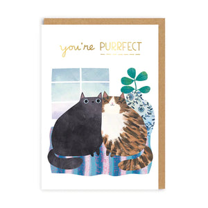 You're Purrfect by Ohh Deer