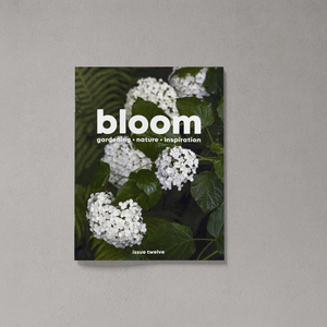 Bloom Issue 12 by Bloom
