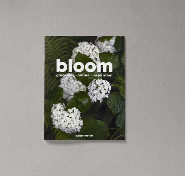 Bloom Issue 12