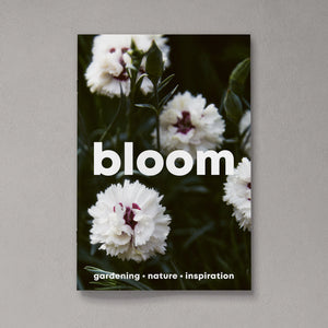 Bloom Issue 14 by Bloom