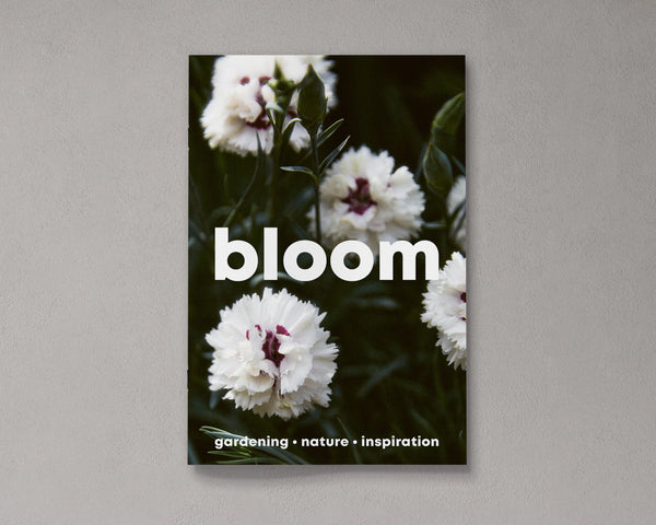 Bloom Issue 14 by Bloom