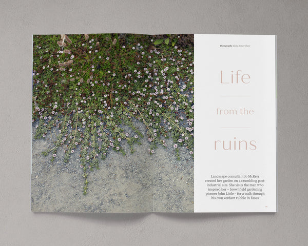 Bloom Issue 14 by Bloom