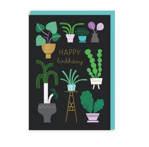 Happy Birthday Houseplants