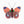 Delias Butterfly Wall Decoration