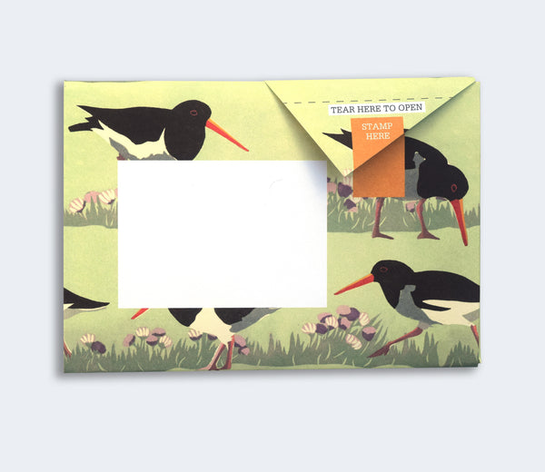Pigeon Posted Pack of 6 - Hebridean