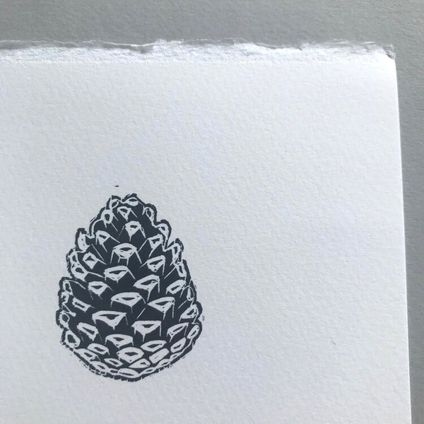 Pine Cone