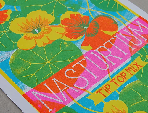 Nasturtium