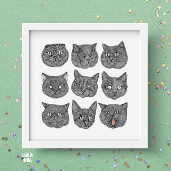 Grey Cats