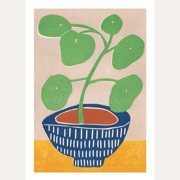 Pilea Plant by Luiza Holub